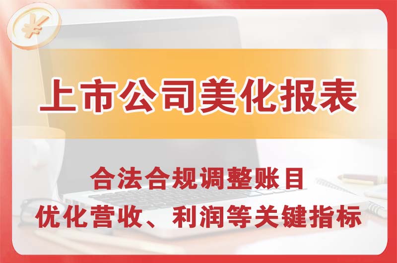 舒兰上市公司美化报表